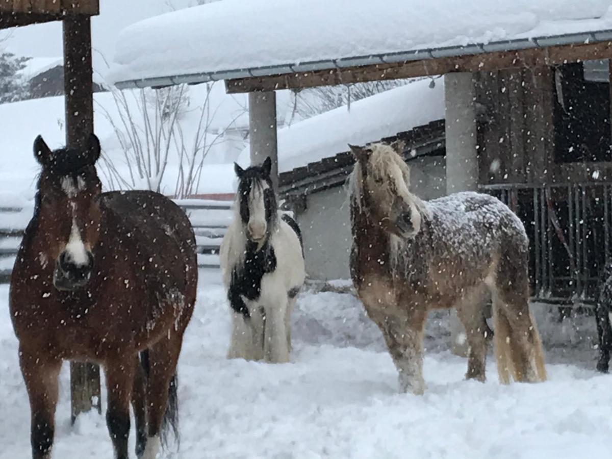 Pony-Ziegen-Hasen-Ranch Bichlbach Apartment Exterior photo